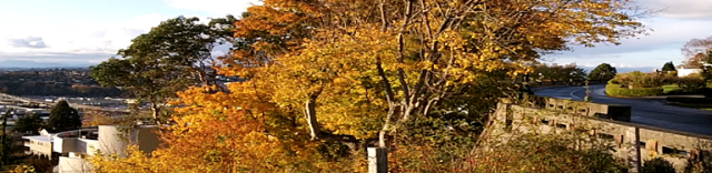 CultivatingBridgesHope Hope