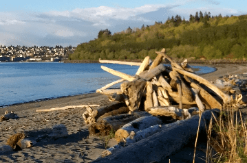 One type of home, Discovery Park, Seattle, WA